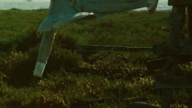 кадр из фильма Junkopia