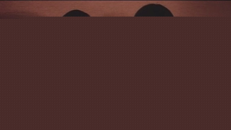 кадр из фильма 本番レズ　恥ずかしい体位