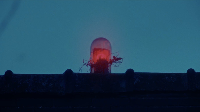 кадр из фильма La casa de los monstruos