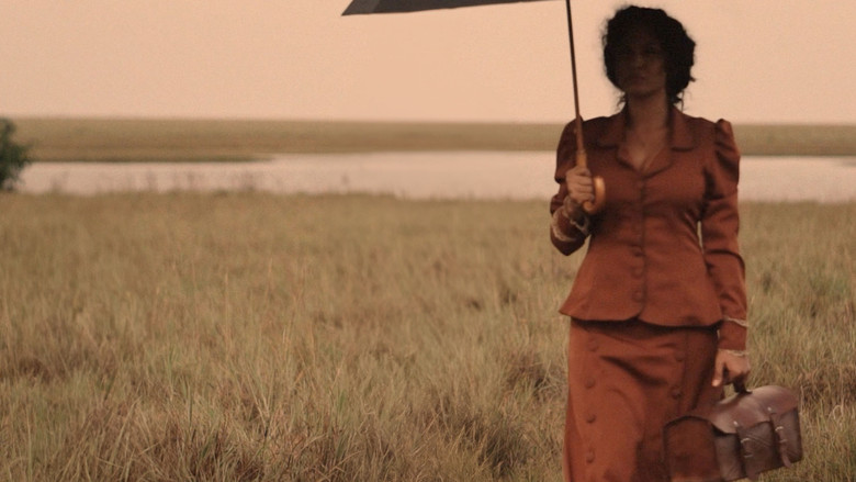 кадр из фильма Ventos do Verão