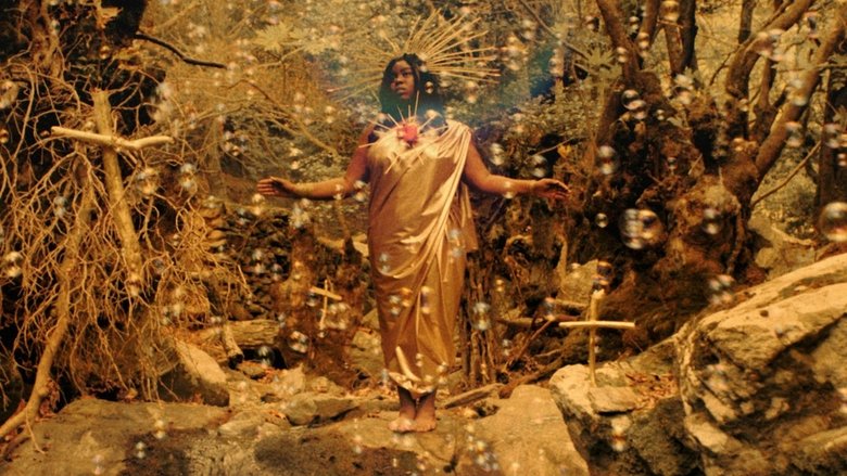 кадр из фильма Het leven en de vreemde verrassende avonturen van Robinson Crusoe die acht en twintig jaar helemaal alleen op een bewoond eiland leefde en zei dat het van hem was