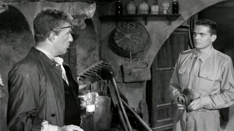 кадр из фильма Врач и знахарь