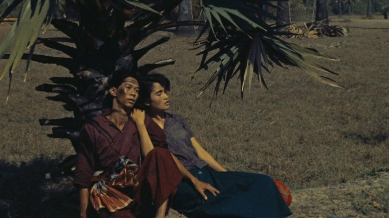 кадр из фильма Санти и Вина