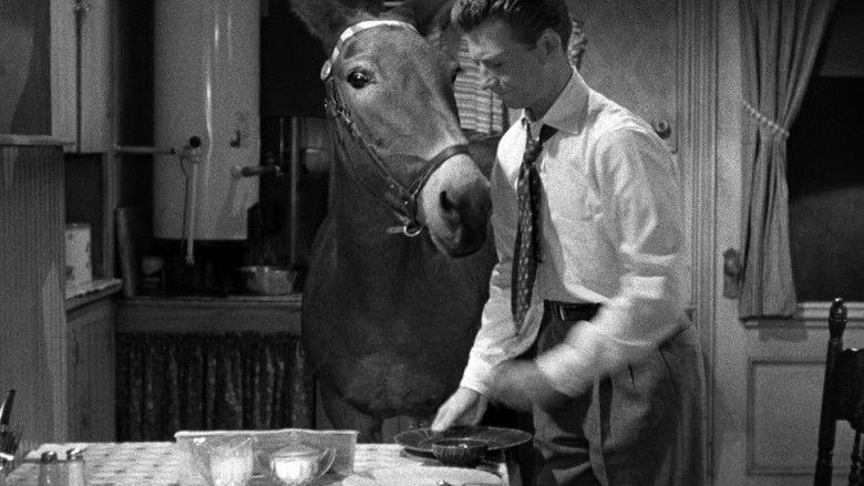 кадр из фильма Francis Covers the Big Town