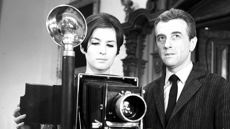 кадр из фильма Где третий король?