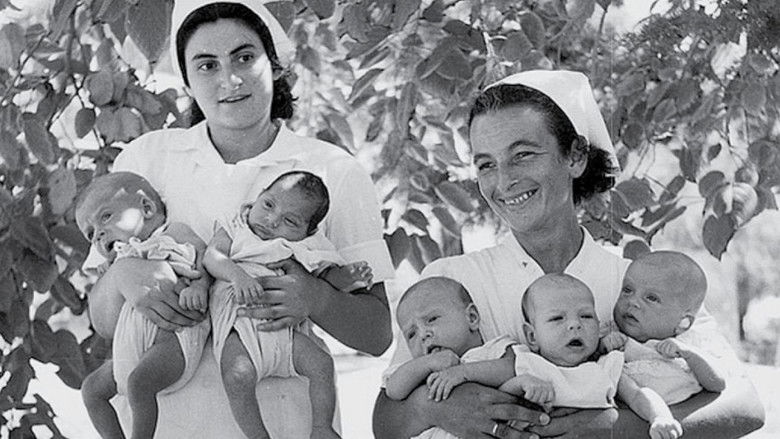 кадр из фильма ילדי השמש