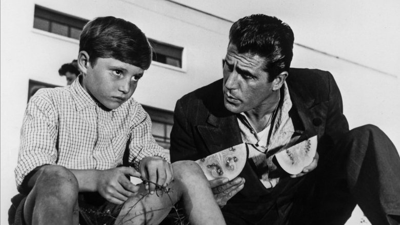 кадр из фильма La finestra sul Luna Park