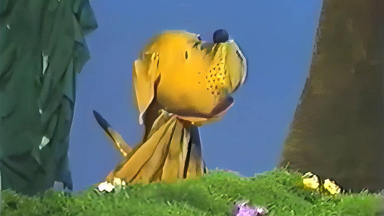 кадр из фильма The Carnival of the Animals
