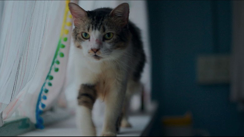 кадр из фильма Max, Min and Meowzaki