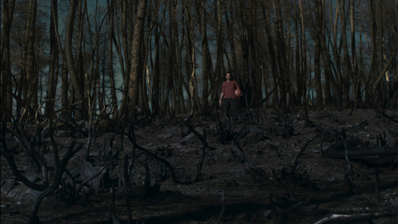 кадр из фильма Justa