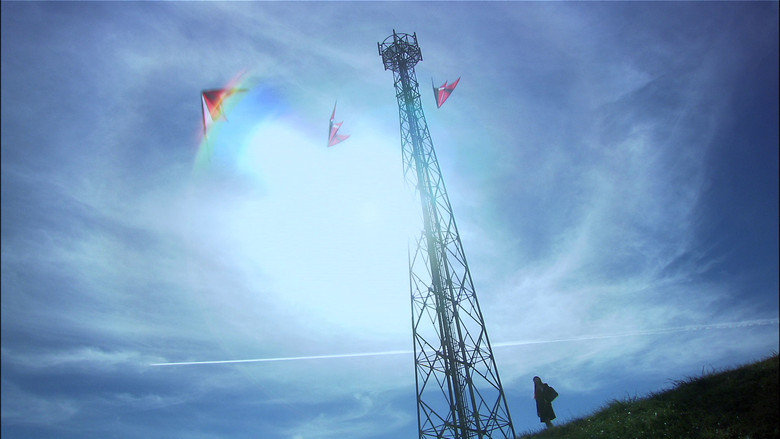 Всё о Лили Чоу-Чоу