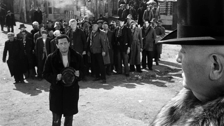 кадр из фильма Чудо в Милане