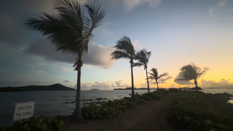 кадр из фильма East End, Rock City