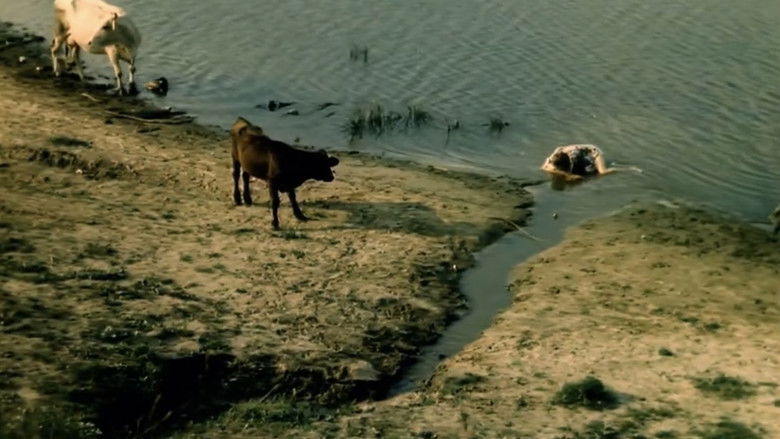 кадр из фильма Чужие письма