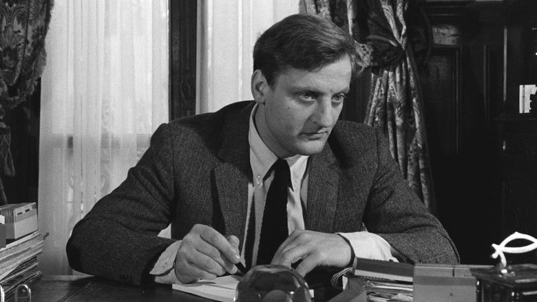 кадр из фильма Если бы я был шпионом