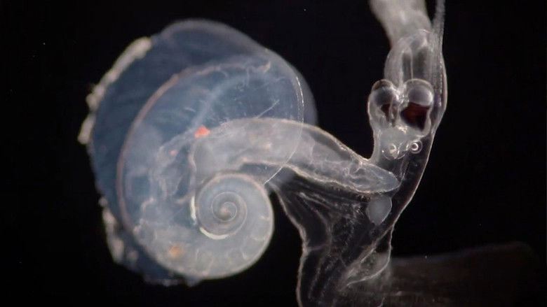 кадр из фильма Ovo je (za) more