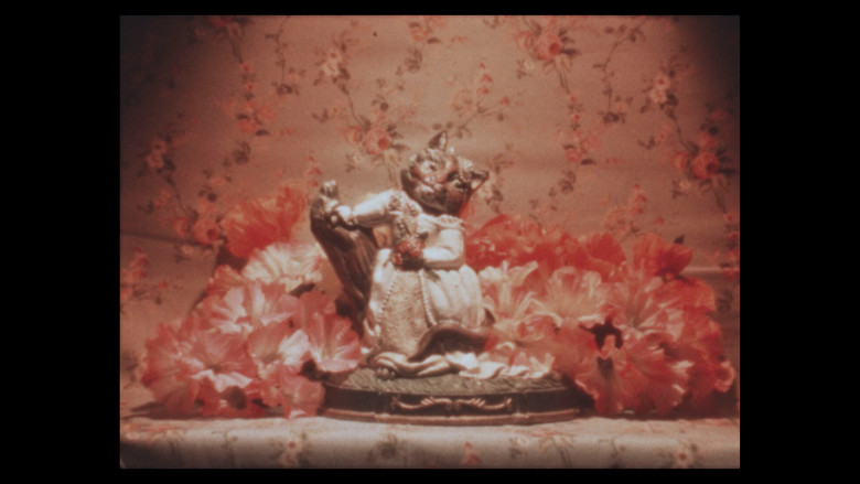 кадр из фильма Considering Cats