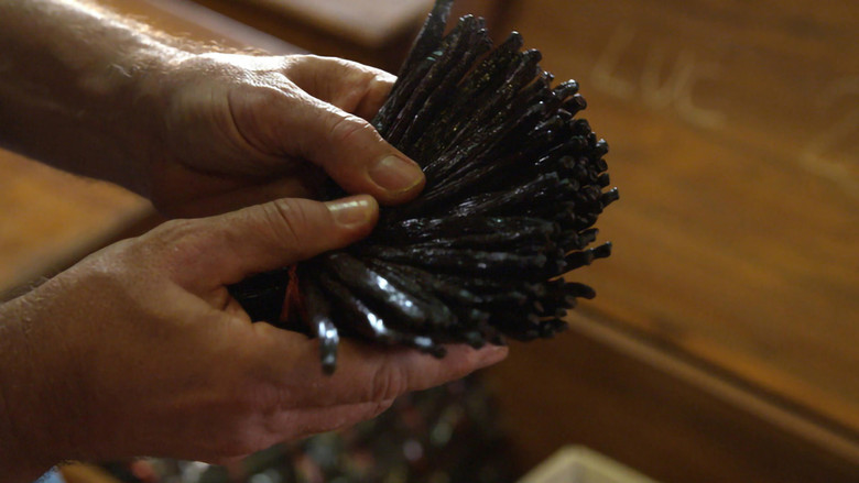 кадр из фильма Vanille, les secrets d'un parfum