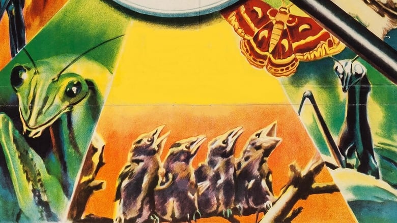 кадр из фильма Nature's Half Acre