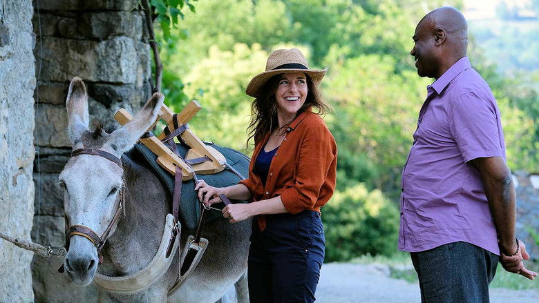 кадр из фильма Ослик, любовник и я