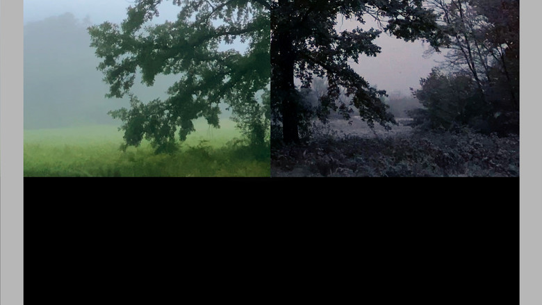 кадр из фильма Past Future