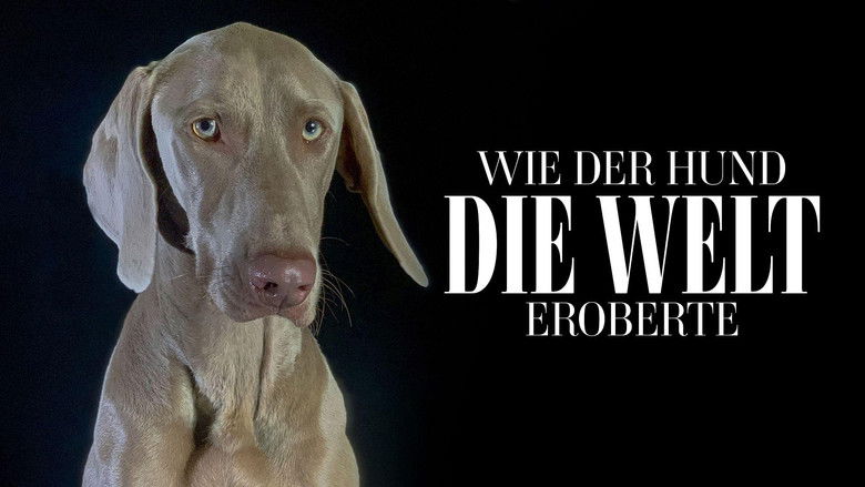 кадр из фильма Comment le chien a conquis le monde