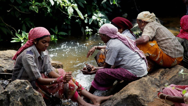 кадр из фильма மேற்குத்தொடர்ச்சி மலை