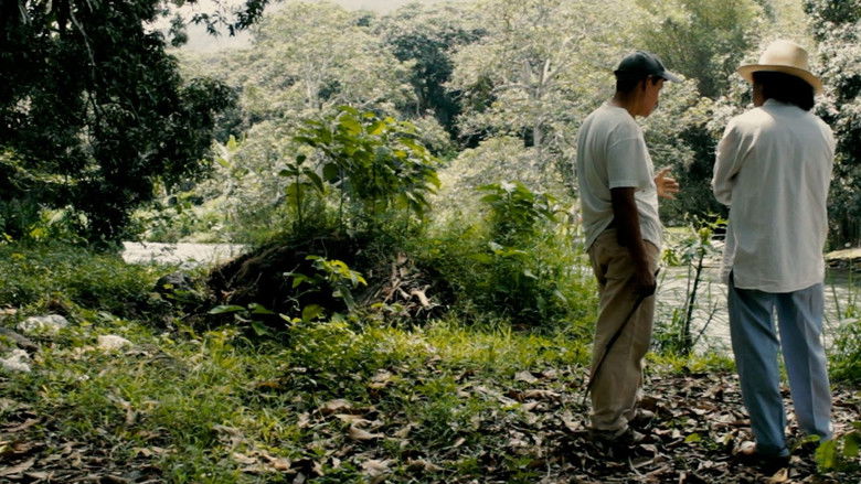 кадр из фильма Chicuasén