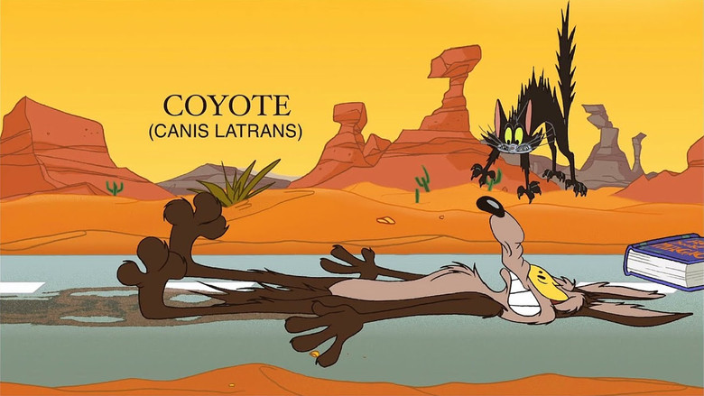 кадр из фильма The Whizzard of Ow