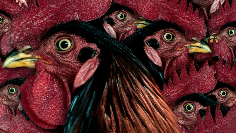 кадр из фильма Непреклонная девушка