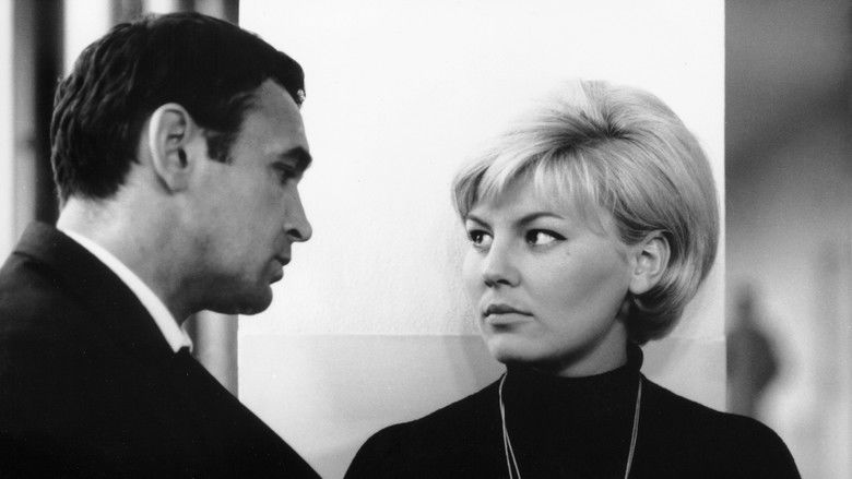 кадр из фильма Hra bez pravidel