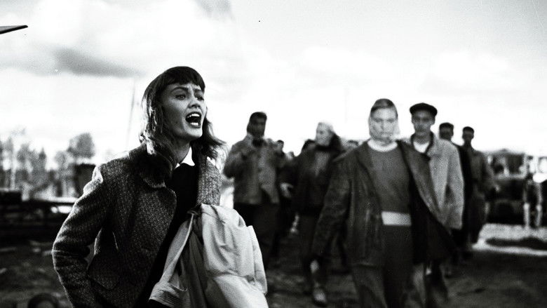 кадр из фильма В дождь и в солнце