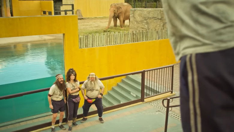 кадр из фильма Luccas Neto em: Uma Aventura no Zoológico