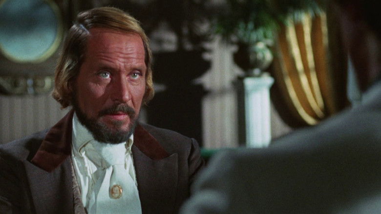 кадр из фильма Стальной кулак Джанго