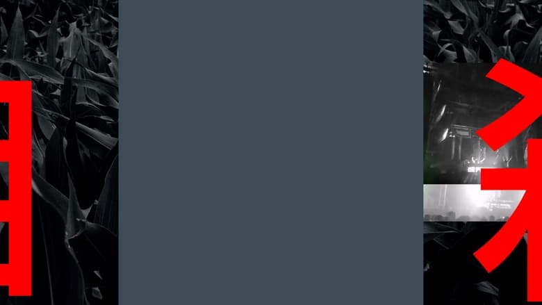 кадр из фильма der letzte tag an den ich mich nicht mehr erinnern kann.