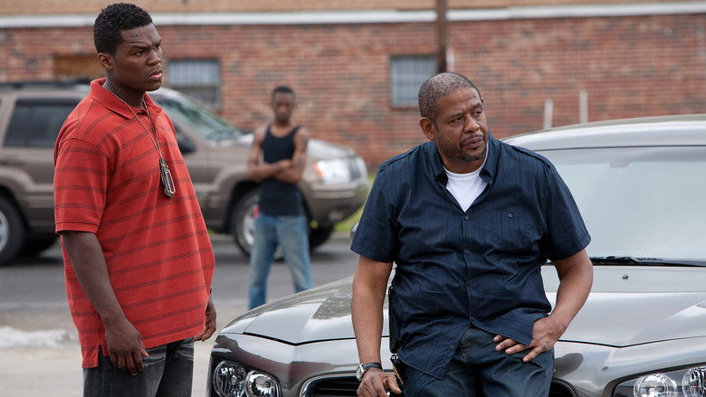 кадр из фильма Фрилансеры