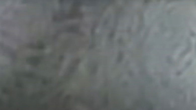 кадр из фильма Brower's Blog