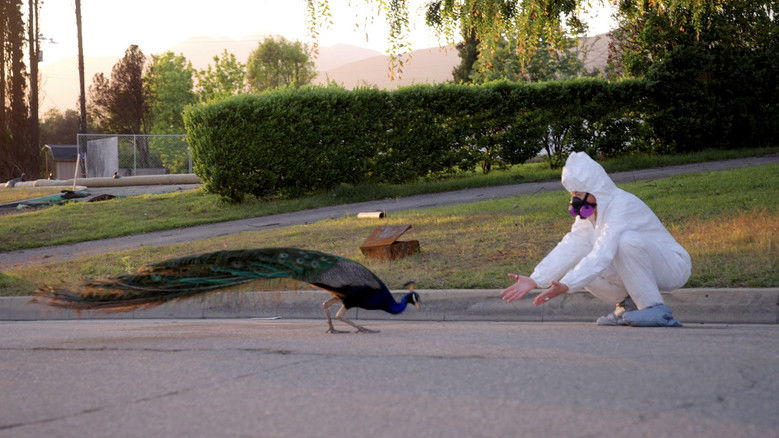 кадр из фильма All the Walls Came Down