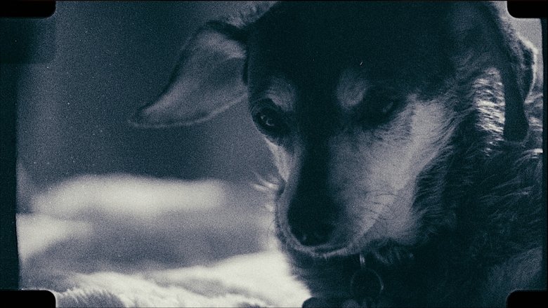 кадр из фильма Mom's House