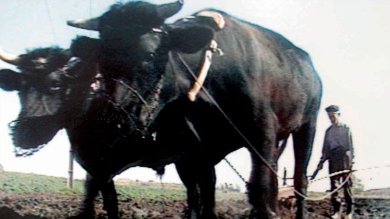 кадр из фильма Tierra Olvidada