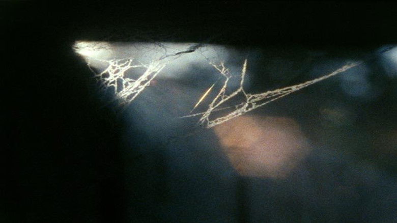 кадр из фильма Origin of the Species