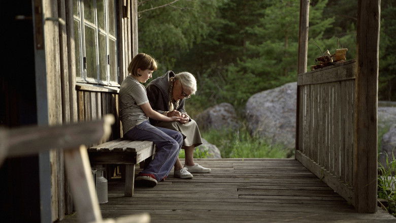 кадр из фильма The Summer Book