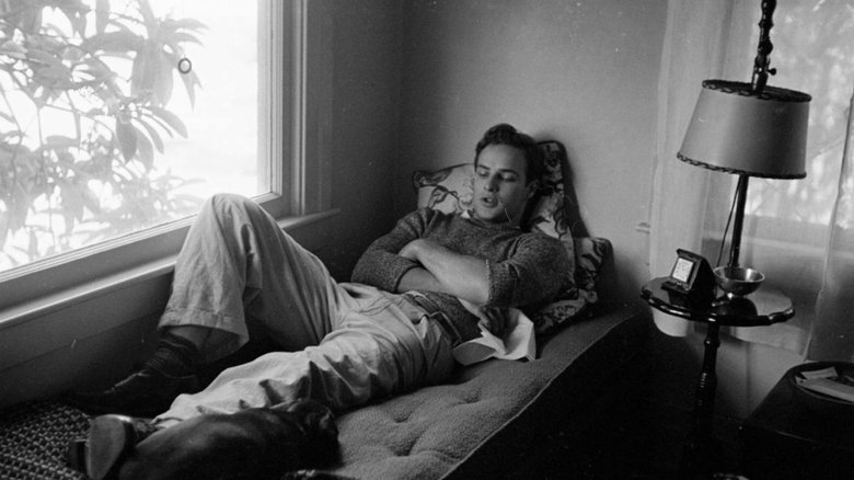 кадр из фильма Послушай меня, Марлон