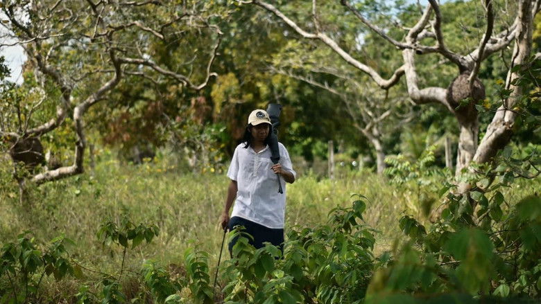 кадр из фильма Ticar Bodó
