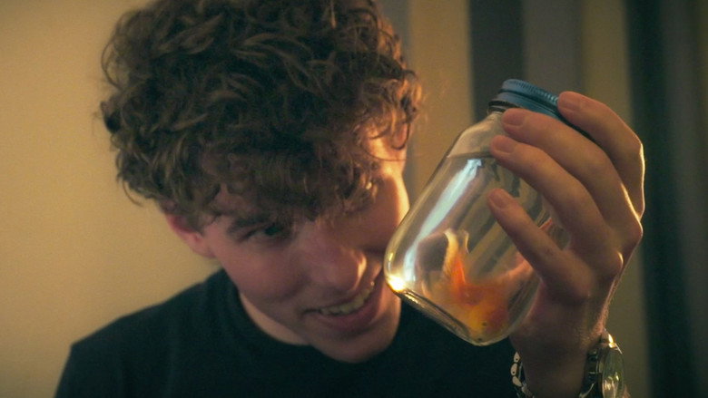 кадр из фильма The Fishsitter