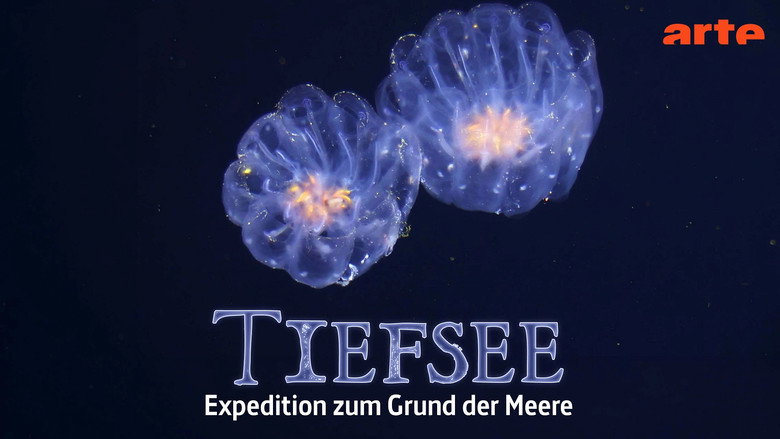кадр из фильма Faszination Tiefsee - Expedition zum Grund der Meere