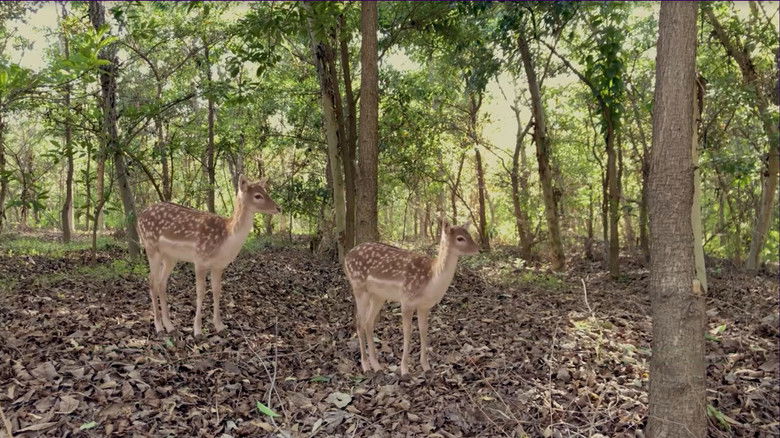 кадр из фильма Spider