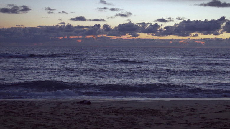 кадр из фильма Naufragé