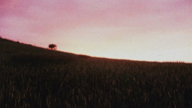 кадр из фильма Horizons