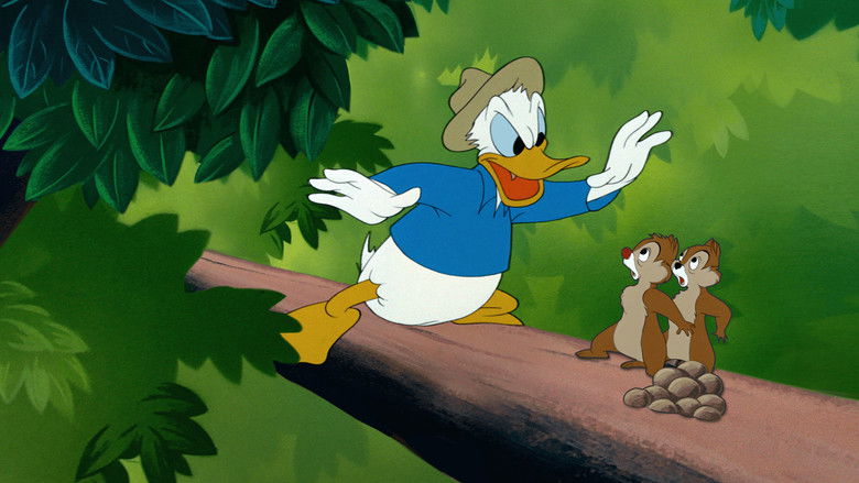 кадр из фильма Дональд Дак: Верхом на ветке